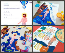 Load image into Gallery viewer, Felt Learning Set, Theophany