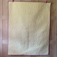 Load image into Gallery viewer, Whole Cloth Quilt, Bee Picnic
